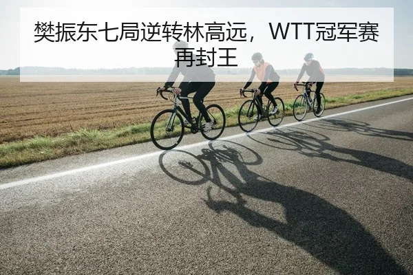 樊振东七局逆转林高远，WTT冠军赛再封王